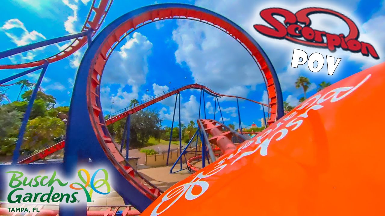 SheiKra Front Row POV Ride at Busch Gardens Tampa Bay on Roller