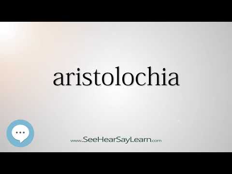 Vídeo: Aristolochia Darth Vader Plant - Aprenda sobre Darth Vader Pipevine Flowers
