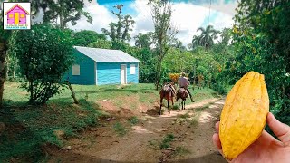 LA VIDA DEL CAMPO EN NAGUA REPUBLICA DOMINICANA