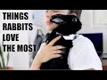 12 Things Rabbits Love the Most!