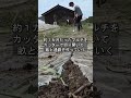 【雑草対策】太陽熱で土づくり　秋冬キャベツ　自然の力を生かせ！山田君　その６４