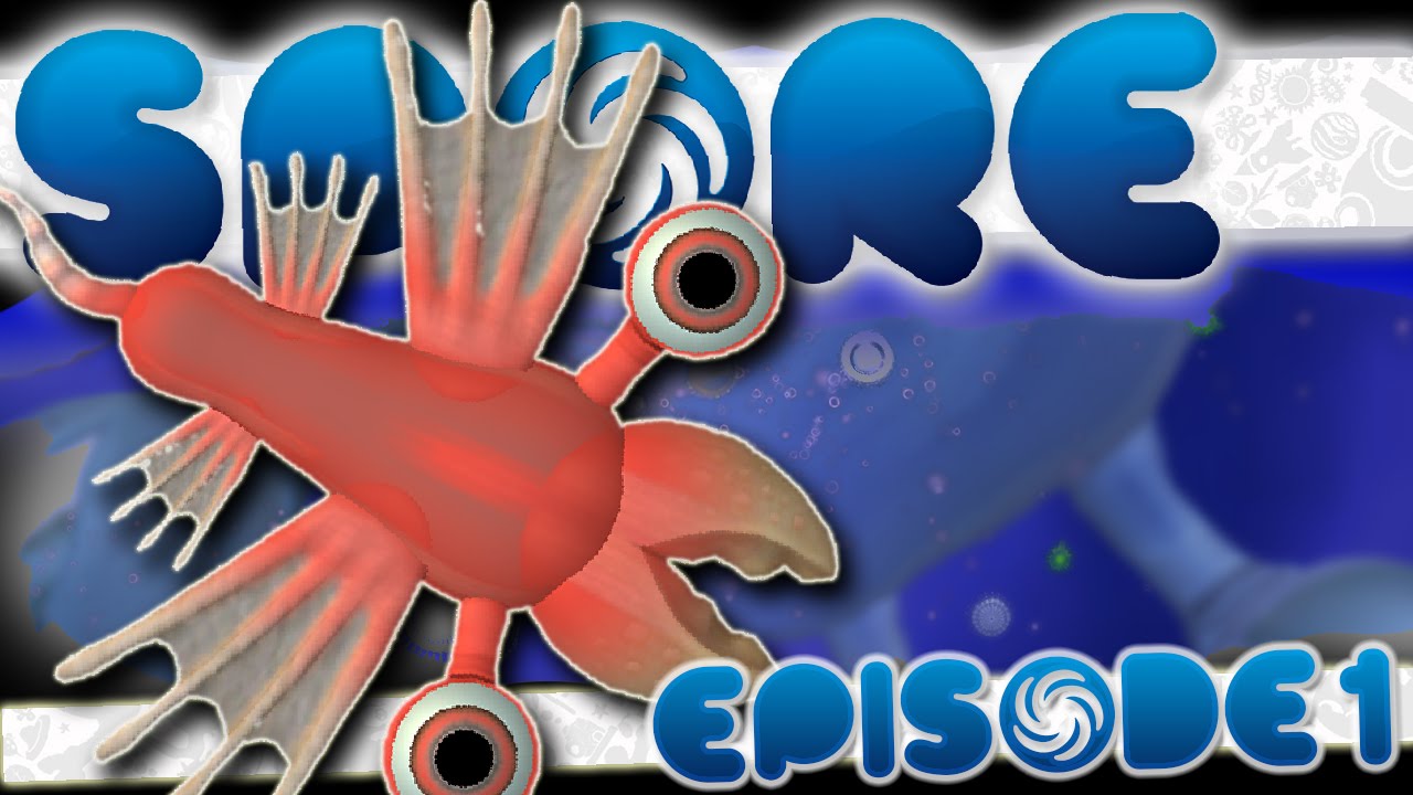 P. OMG Spore 【今週まで！】 ◇◇◇ P.Willinckii 'OMG' spore（s-21鉢） - メルカリ