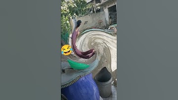 #shorts #funny #cuoi #vuinhon #giaitri #haihuoc #xuhuong