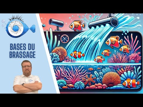 Brassage en Aquarium