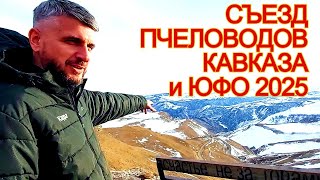 картинка: Слёт пчеловодов Кавказа/ розыгрыш сертификата на 10 маток Бакфаст