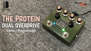 Browne Amplification - Protein Dual Overdrive (Is The Hype Real? Is This One Of The Best OD?)