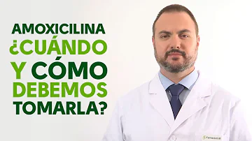 ¿Qué no hacer al tomar amoxicilina?