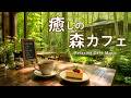 途中広告なし【カフェBGM】癒しの森カフェ｜深呼吸して過ごす静かなひととき｜作業用・読書・リラックス