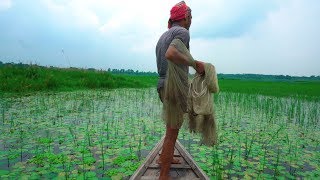 Net Fishing | Catching Fish By Cast Net | Fishing with beautiful nature (Part-14)