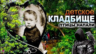 видео: ЖУТКИЕ ПТИЦЫ. ЭГФ.  ДЕТСКОЕ КЛАДБИЩЕ картинка: ЖУТКИЕ ПТИЦЫ. ЭГФ.  ДЕТСКОЕ КЛАДБИЩЕ