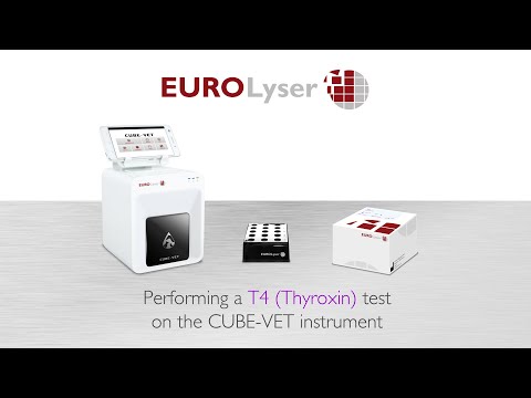 Performing a T4 (Thyroxin) VET test on the Eurolyser CUBE-VET