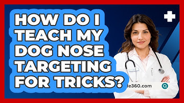 How Do I Teach My Dog Nose Targeting For Tricks? - PetGuide360.com