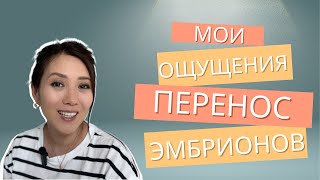 картинка: Ощущения после переноса эмбрионов / Мой опыт ЭКО
