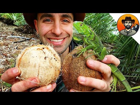 Video: Өзүңүздүн кокос сүтүн кантип алууга болот