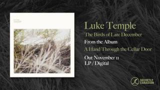 Luke Temple - The Birds of Late December (Official Audio) chords
