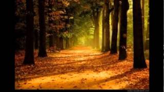 Ben Aşk Dedim Resimi