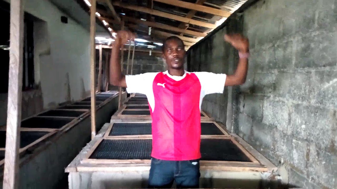 Snail pens in your living compound (the complete work) 08068525032