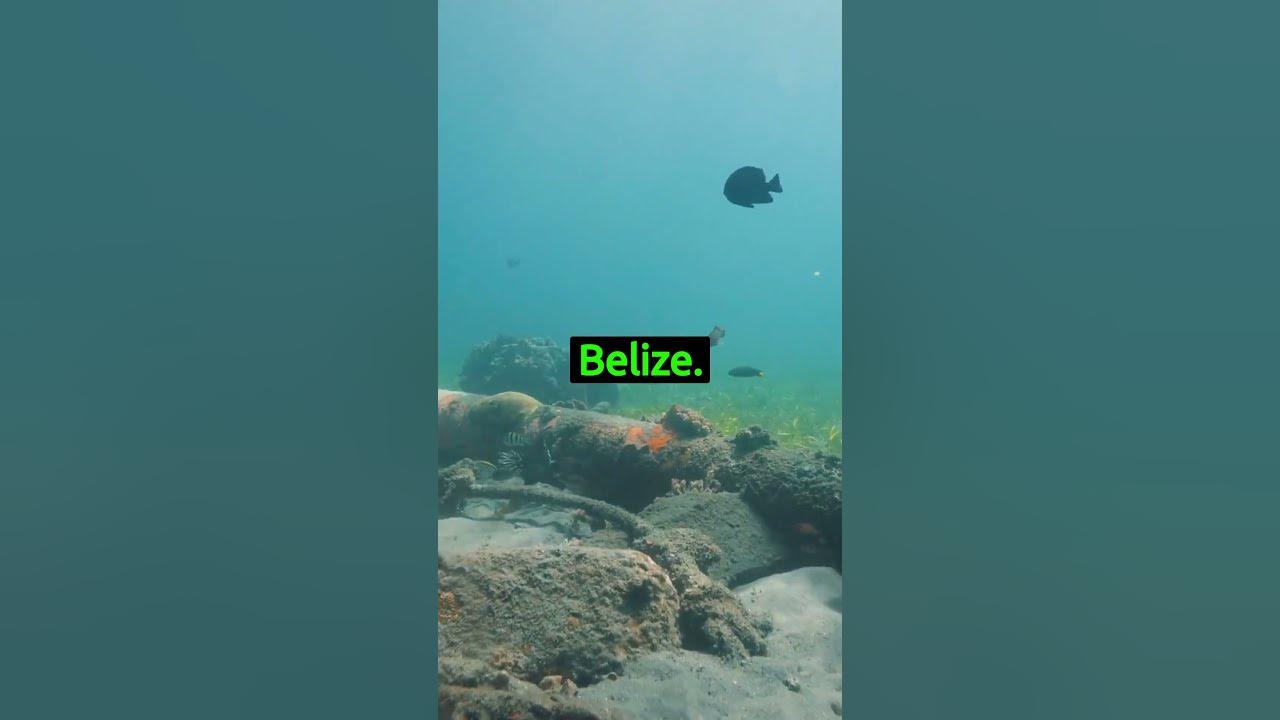 The great blue hole in belize shorts belize bluehole youtube