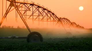 Agriculture sector in Namibia