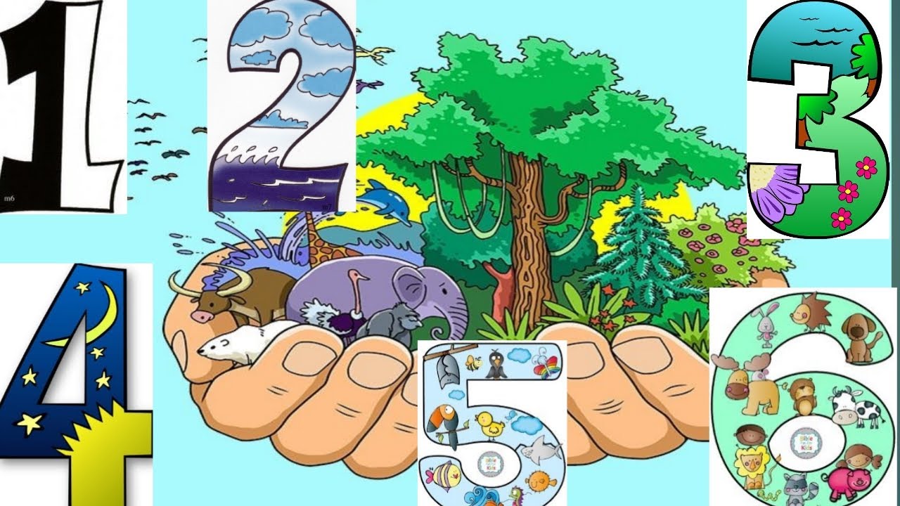 الدرس السابع للصف الأول الابتدائي | ايام الخليقه