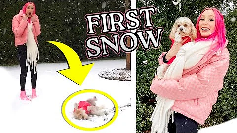 My Dogs First Reaction To Seeing Snow! (very cute)