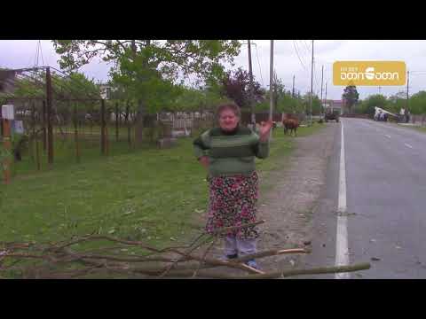 სოფელ კახათში ხეების ტრანსპორტირებისას ელექტრო და გარე განათების ბოძები დაზიანდა