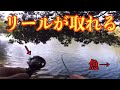 魚が釣れた瞬間にリールが取れた時の状況がやばすぎた笑　＃shorts