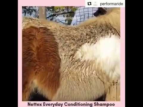 Video: Nettex Everyday Conditioning Shampoo Testbericht