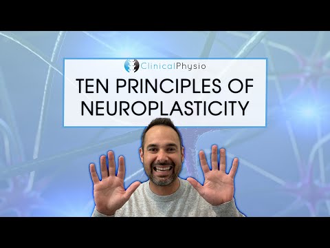 The Ten Principles