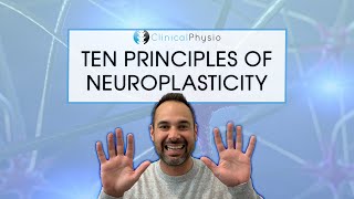 The Ten Principles Of Neuroplasticity Rehab | What you need to think about!