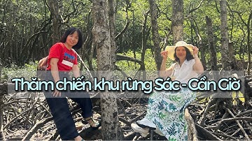 Thăm chiến khu rừng Sác - Cần Giờ