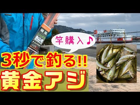 黄金アジを3秒で釣る!!　～金谷フェリー港でアジ釣り！ ～