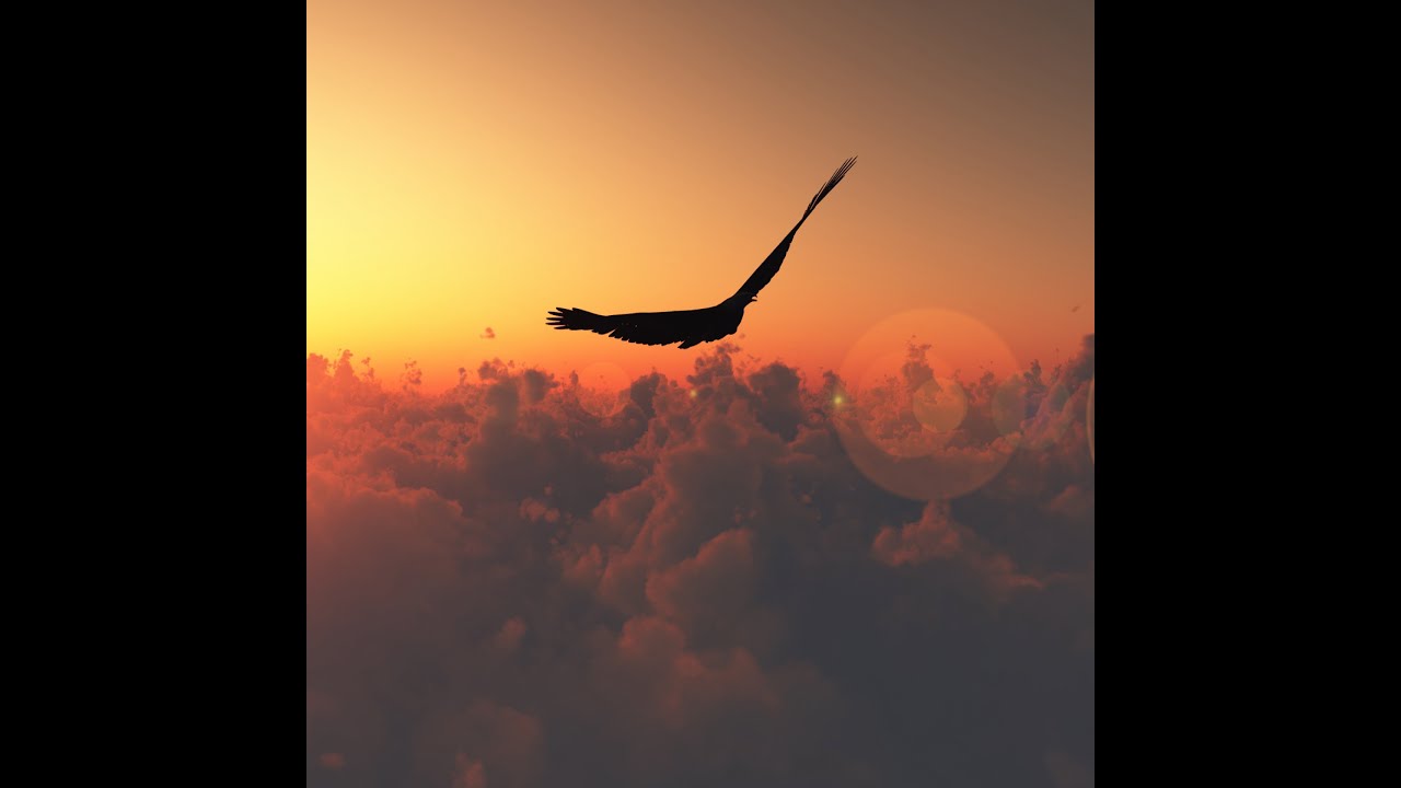 Zakja - Tú Amor No Falla (OFFICIAL AUDIO)