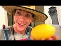 What comes out of this GIANT YELLOW EGG? (Stealing MY Son, Not Kevin’s)