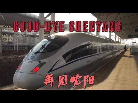 We are leaving Shenyang! Our First Post-Covid travel!