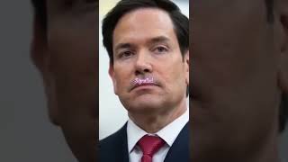 Ludwigshafen eskaliert! #p1 #Ludwigshafen  #Paul #Musk #Politik #Europa #Skandal #News #Shorts