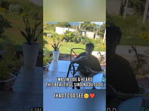 I HEARD THIS BEAUTIFUL SINGING OUTSIDE I HAD TO GO LOOK, 😍💖 ELDERLY MAN SINGING/ ARCHIE SINGING