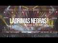 Lagrimas negras      a latin american classic covered by mizane