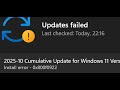 Fix Update KB5066835/KB5066128 Install Error Code 0x800f0922/Download Error 0x80240069 On Windows 11