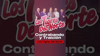 Contrabando y Traición  Los Tigres del Norte | Corridos Pesados Mix | Corridos Exitos 2023
