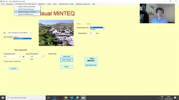 Visual MINTEQ. 3. Equilibrium with solid mineral phases.