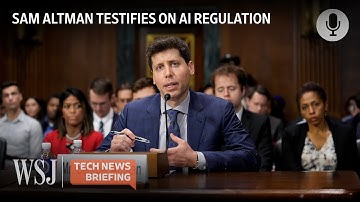 Why OpenAI’s CEO Called for AI Safety Standards at Senate Hearing | WSJ Tech News Briefing
