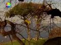 KuBaT Yalan Bunlar Yalan SГ Ylediklerin Yalan Bu Kez Bana Inan Dur Gitme Г Ok GГјnah Video ClipрџЋµ KuBaT Yalan Bunlar Yalan SГ Ylediklerin Yalan Bu Kez Bana Inan Dur Gitme Г Ok GГјnah Video ClipрџЋµ