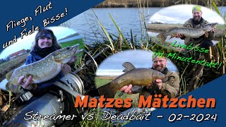 Matze Koch: Fliege vs. Deadbait - Matzes Mätzchen 02-2024