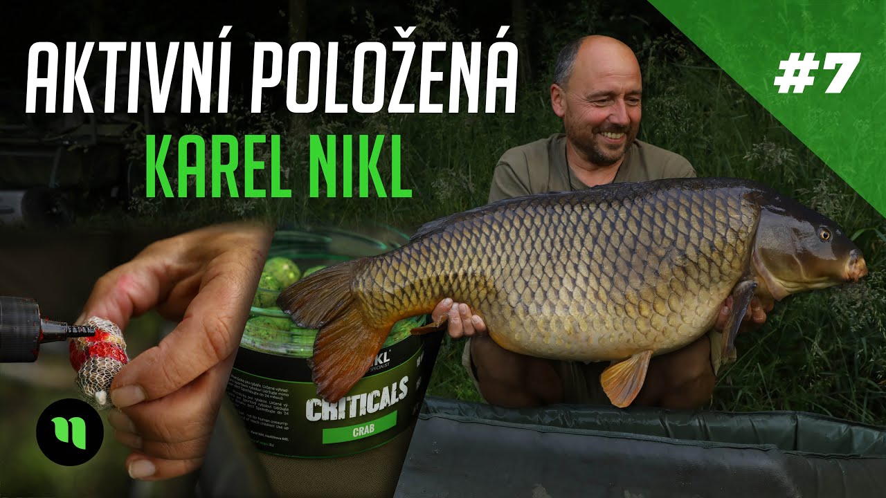 Aktivní Položená | Lov velkých ryb | Karel Nikl | #7