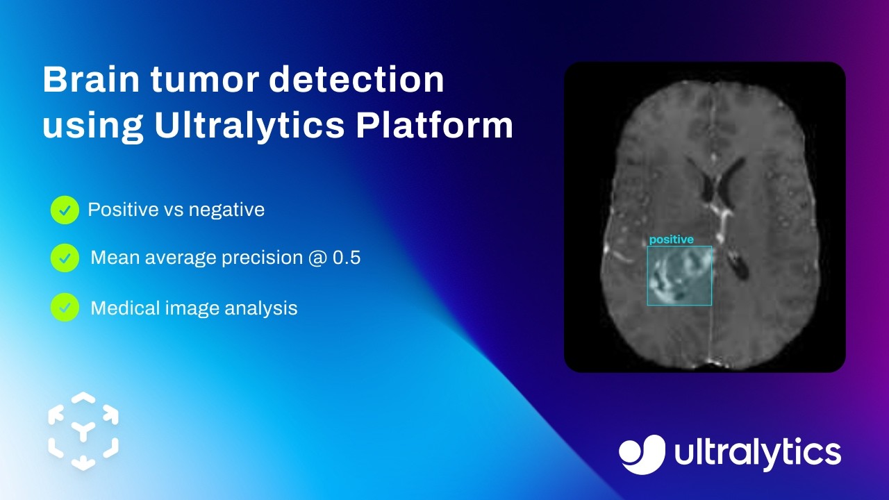 Brain Tumor Detection using Ultralytics Platform with Ultralytics ...