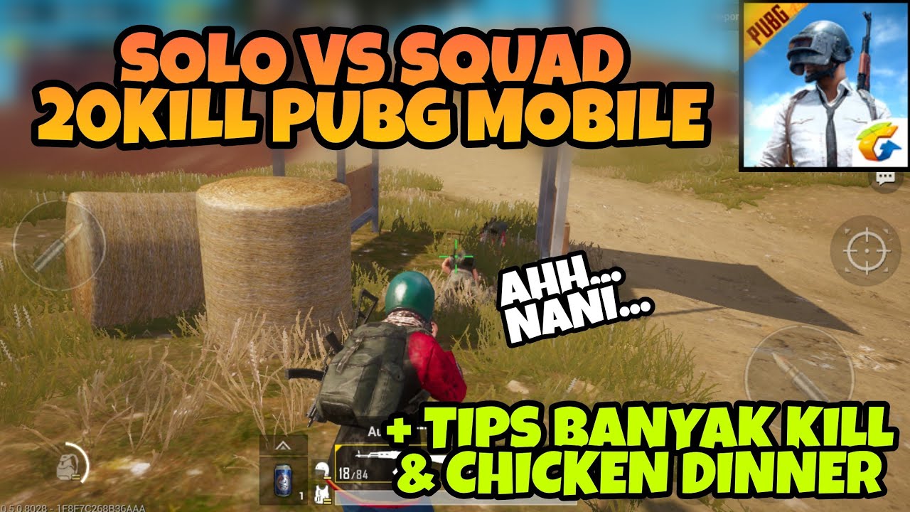 Pubg Mod Apk V.0.3.3 Free Used