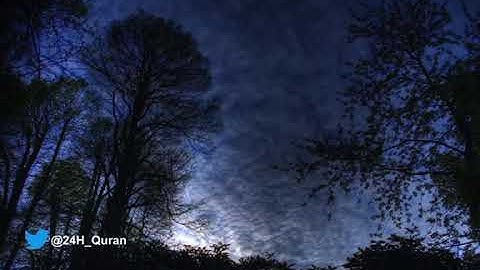 #سورة_طه بصوت الشيخ #هاني_الرفاعي #quran_karim #Surah #Taha Surah Taha