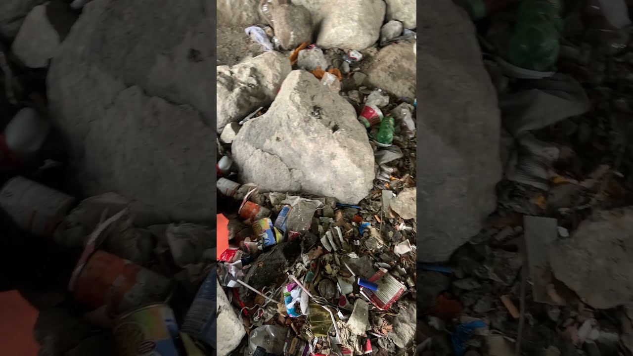 The City Placed Large Boulders At A Homeless Campsite Shorts