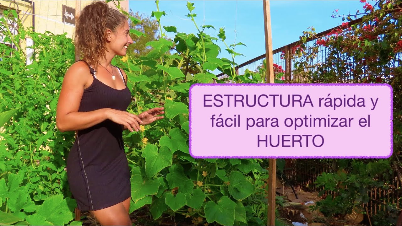 Como hacer un ESTRUCTURA fácil y barata para enredaderas y tomates